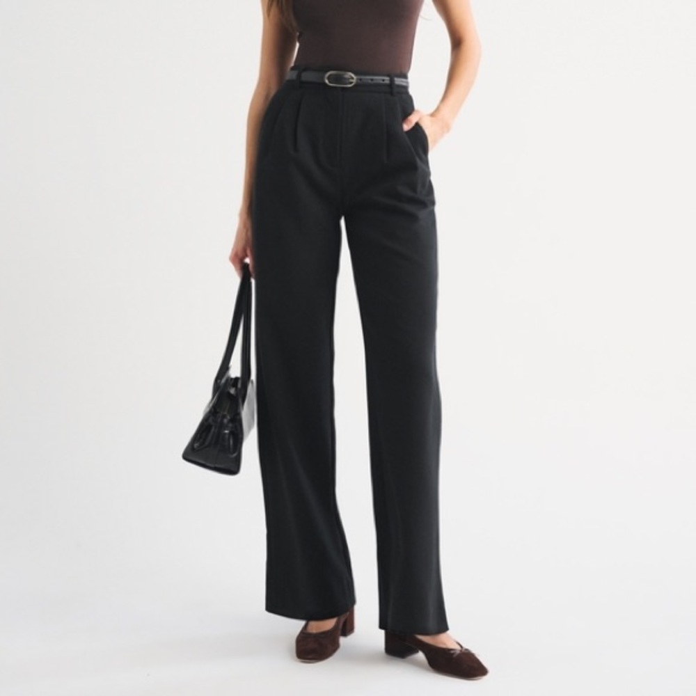 Abercrombie & Fitch Sloane Tailored Wide Leg Pant, 23 regular